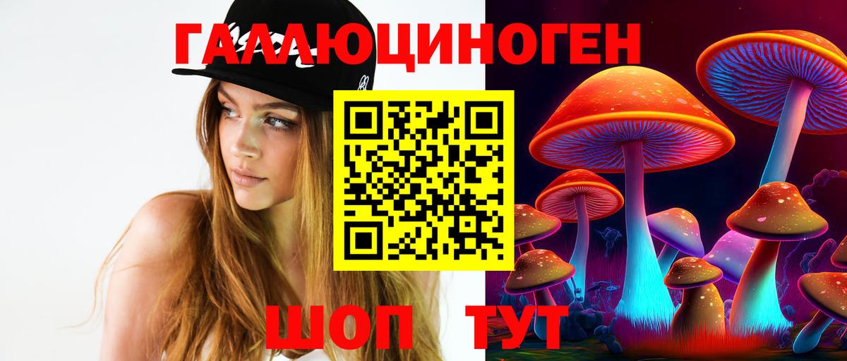 Галлюциногенные грибы GOLDEN TEACHER  Вход с VPN  Долгопрудный 