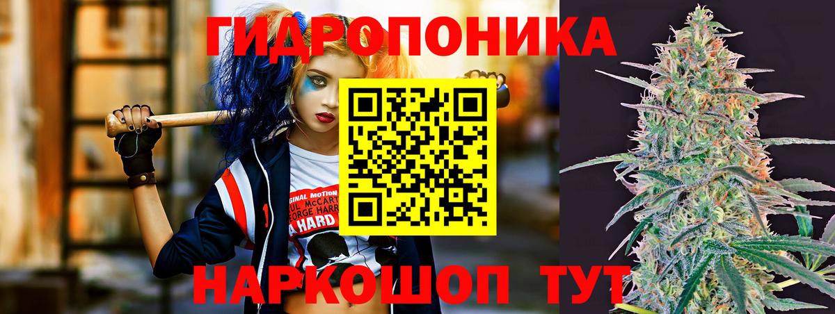 Бошки Шишки индика  Конопля SATIVA & INDICA  Бошки Шишки семена  Долгопрудный  Вход с VPN  Канабис марихуана 